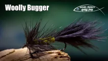 Video thumb for Woolly Bugger